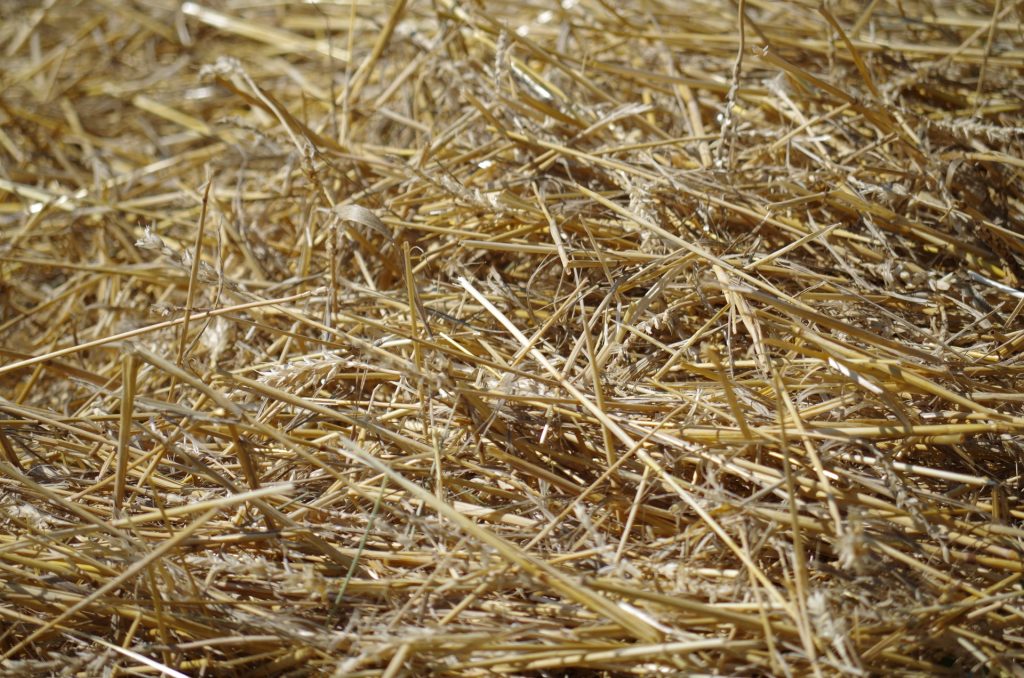 ossature bois paille isolation écologique maison